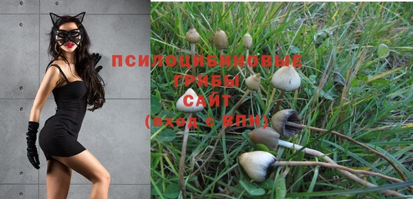 стаф Балабаново