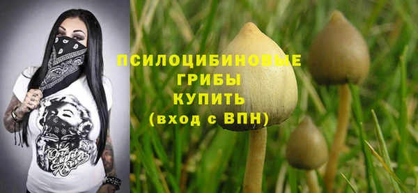 прущие крисы Белоозёрский