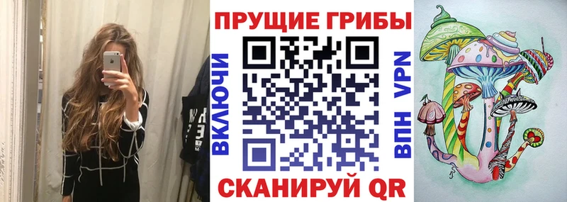 Псилоцибиновые грибы Psilocybine cubensis  Новоалександровск 