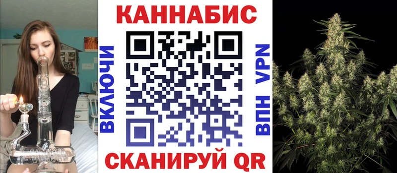 дарнет шоп  Новоалександровск  Канабис сатива 
